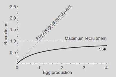 Spawning Stock Recruitment (SSR)