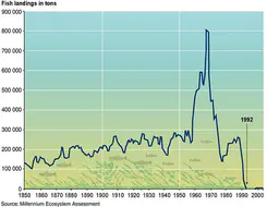 Collapse of North Atlantic cod stocks off the East coast of New Foundland in 1992 (image credit - Philippe Rekacewicz, Emmanuelle Bournay, UNEP/GRID-Arendal)