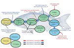 Always wanted to get into size spectrum modelling? - mizerHowTo is the tool for you