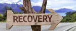 HOW TO ... detect early warning signs of recovery in complex systems